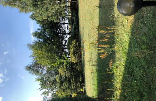 Willa Janka - Foto 10