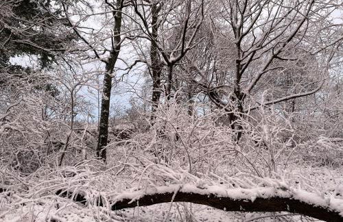 Orchard Barn next to Bewl Reservoir, Ticehurst - Foto 18