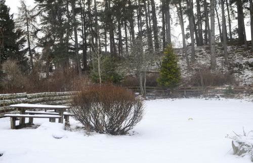 West End Cottage - Foto 11