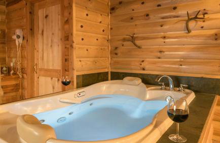 Upper Canyon Inn & Cabins - Foto 71