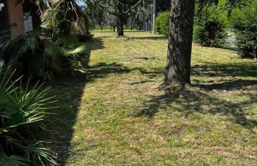 Tiny Deluxe - Sarzana - Foto 14