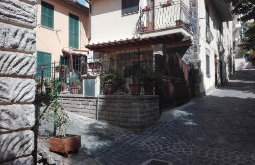 La rosa sul lago - Foto 2