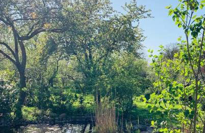 Sonnenhügel - Foto 8