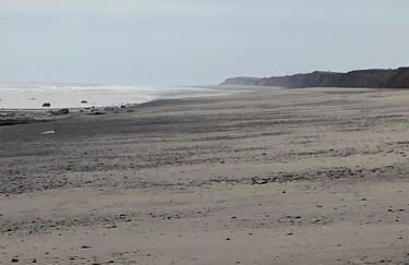 Cosy caravan - Foto 34