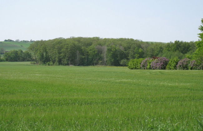 "Eva" - 1.5km to the fjord - Foto 12