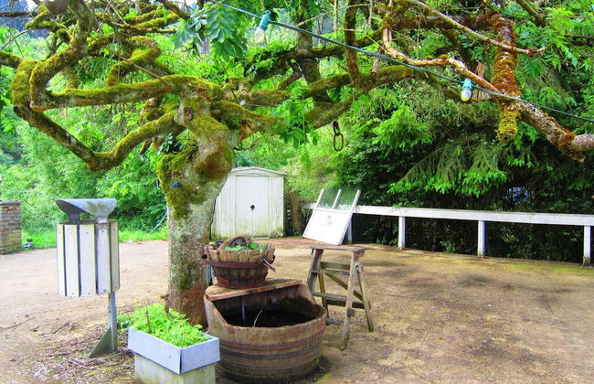 Group Getaway With Sauna - Photo 24