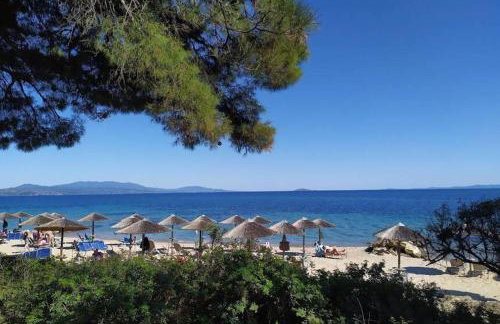 BS Village green - Photo 26