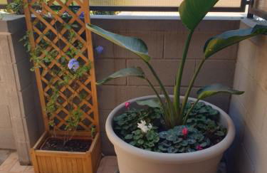 Magnolia House - Photo 7