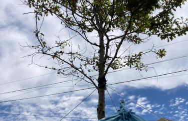 Água e Sal - Seafront House, with Garden and independent Suíte. - Photo 43