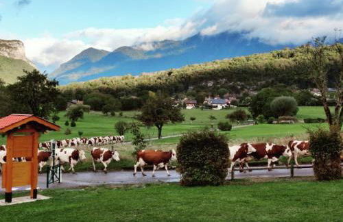 C le birdie - Foto 30