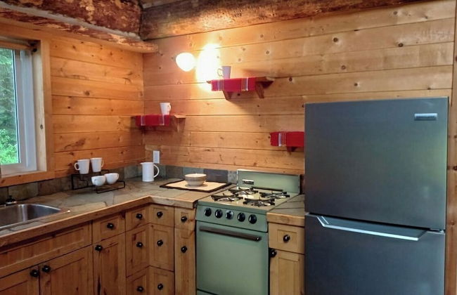 Rustic Beaverfoot Lodge Dream Cabin - Photo 9