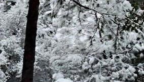 Home in Groveland near Yosemite NP - Foto 4