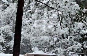 Home in Groveland near Yosemite NP - Foto 4