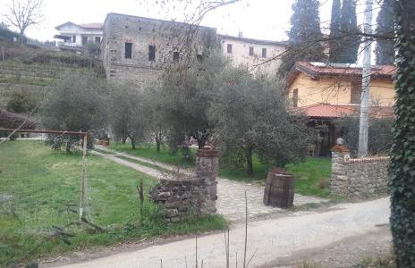 agriturismo il poderetto - Foto 48