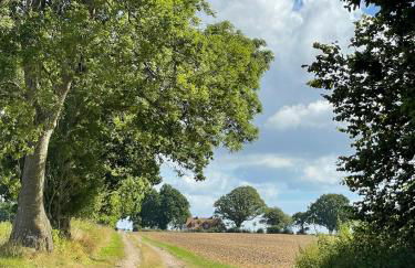 Landhaus an der Schlei - Photo 14