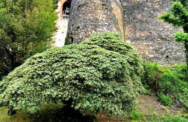 Villa Maria Apartments - Foto 76