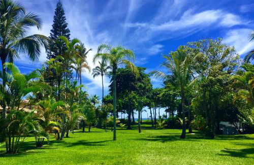 Casa Vivá Guaeca - Foto 21