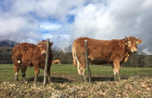 Nice Home In Sestino With House A Panoramic View - Foto 19