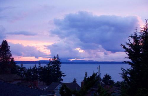 Saltwater Shoreline - Foto 24