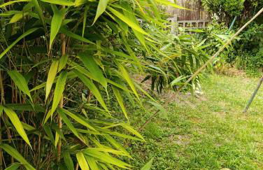 Villa Seine - Foto 18