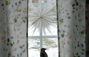 Siedlisko Brzozowe - Foto 35