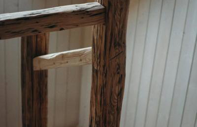 Mech i brzoza - Foto 17