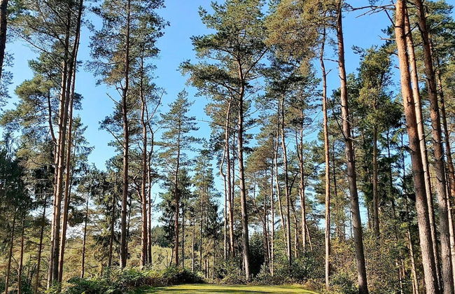 6 Person Holiday Home in Gjern-by Traum - Photo 1