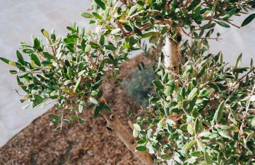 Le Jardin d'Anatole - Parking - Haut Standing - Foto 33
