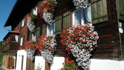 Gästehaus Schaub - Foto 3