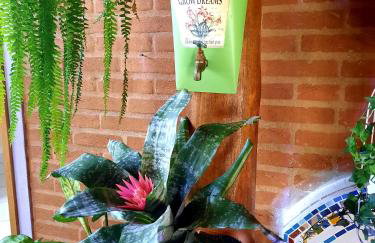 Toca - Bairro Serrano - Foto 36