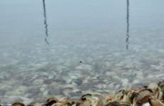 Appartement ERQUY Bretagne vue mer exceptionnelle sur les hauts d'Erquy au calme ! 900 m du centre ville et au pied du GR34 - Foto 30