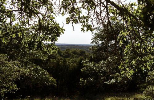 Rustic Off-the-Grid Cabin near Ample Outdoor Recreation in Harper, Texas - Photo 24