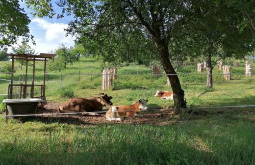Ferienwohnung an der Kapelle - Photo 37