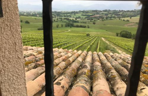 Genius Loci Country Inn - Photo 64