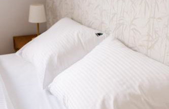 Domek na wyłączność ,bania z jacuzzi. Pobyt góry, jezioro, las. - Foto 75