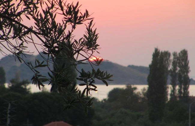 LASSIA STUDIOS - Foto 31