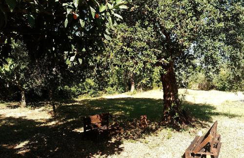 Country House tra lago e mare a Sud di Roma - Foto 29