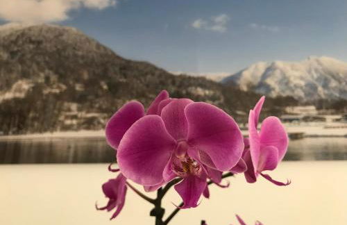 Lea am See - Bio Design Appartement - Foto 54