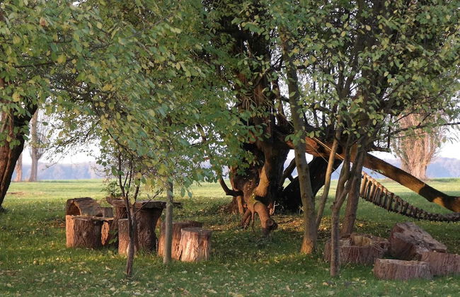 Geraeumige Ferienwohnung in Boddin mit Garten - Foto 11
