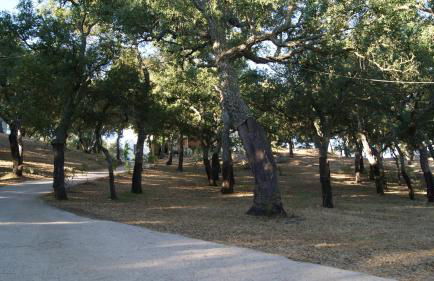 Agriturismo Le Sughere - Foto 41