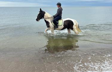 Morski Las - Foto 76