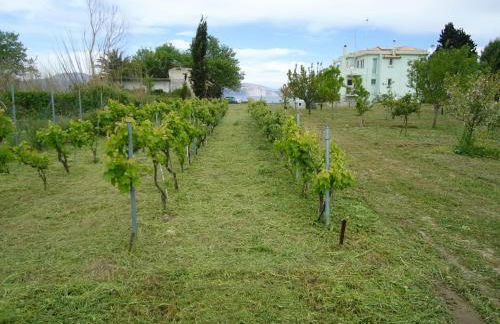 Luxury Beachfront Villa Poseidon Artemisiou Παραθαλάσσια Βίλα στην βόρεια Εύβοια για φιλοξενία 9 ατόμων - Foto 55