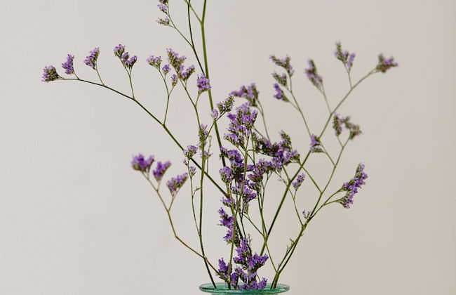 60 Balconies Design - Foto 29