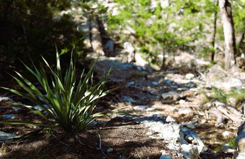 Camp David Retreat Secluded Hill Country Oasis - Foto 74