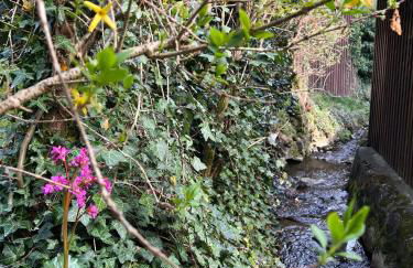 Gemuetliche-Ferienwohnung-Nr-2-im-Harz-fuer-max-3-Personen - Foto 12