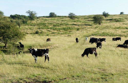 The Annex Apartment is on Cheddar Bridge Apartments - Foto 28
