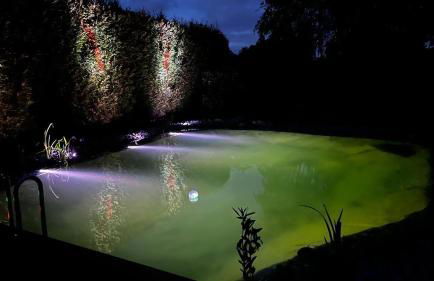 Fewo Plüschmors - Foto 20