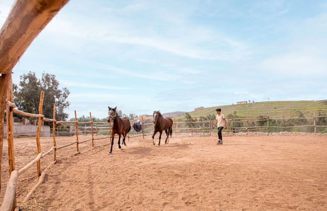 La Fattoria Ecolodge - Foto 45