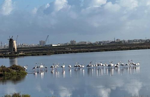 Villa Esclusiva in Riserva Naturale - Foto 7