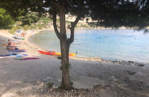 Fig Tree Apartment - Foto 33